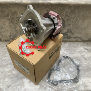 Cận cảnh bơm nước Terrano chính hãng