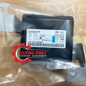 Hình ảnh hộp chìa khóa smartkey Hyundai Santafe chính hãng