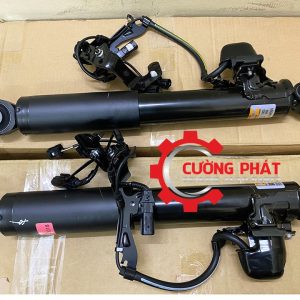 Hình ảnh giảm xóc sau Lexus RX chính hãng