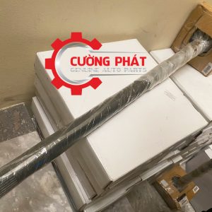 Hình ảnh cây láp sau Triton 2009-2023