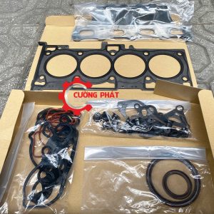 Cận cảnh gioăng đại tu Outlander