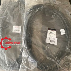 Hình ảnh gioăng cửa Triton 2009-2014