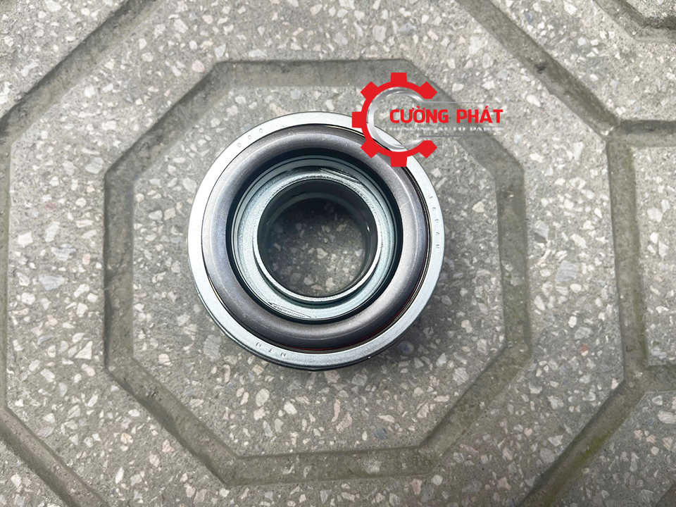 Góc chụp cận cảnh bi tê Triton máy xăng, Zinger, V31, Jolie